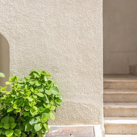 Appartement Rustical 2